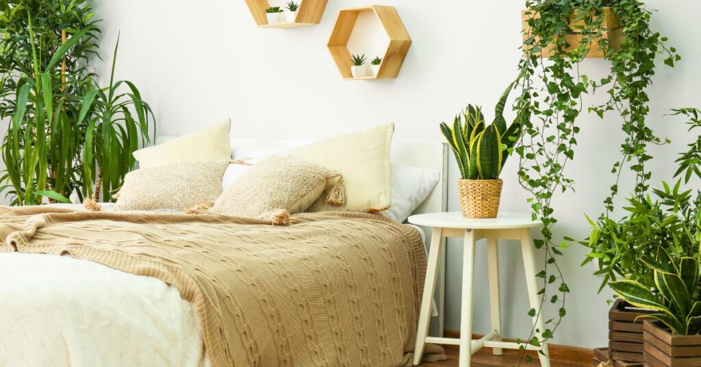 interieur vert