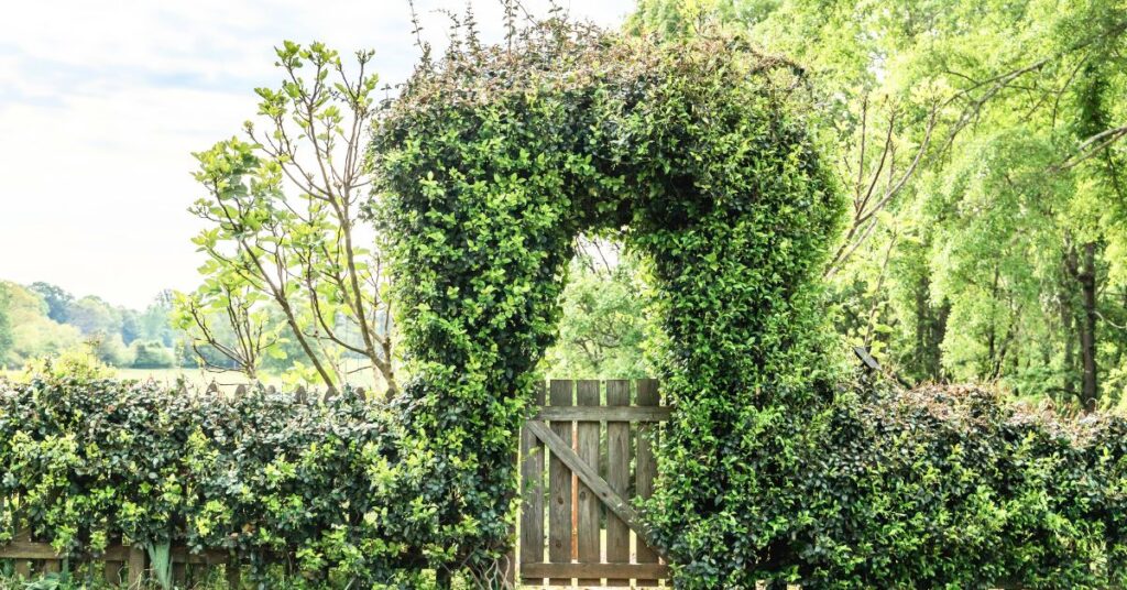 jardin partage