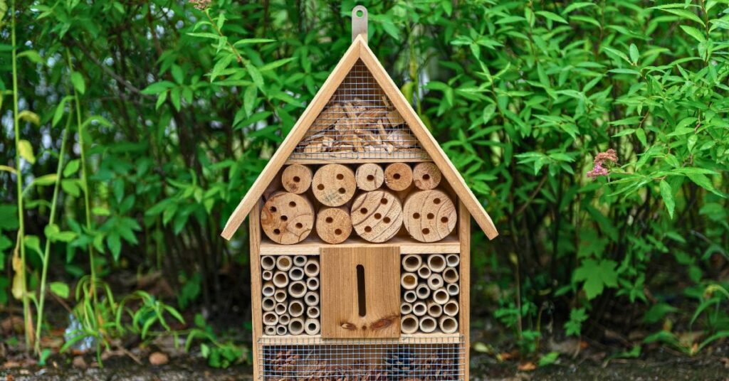 hotel a insecte dans son jardin
