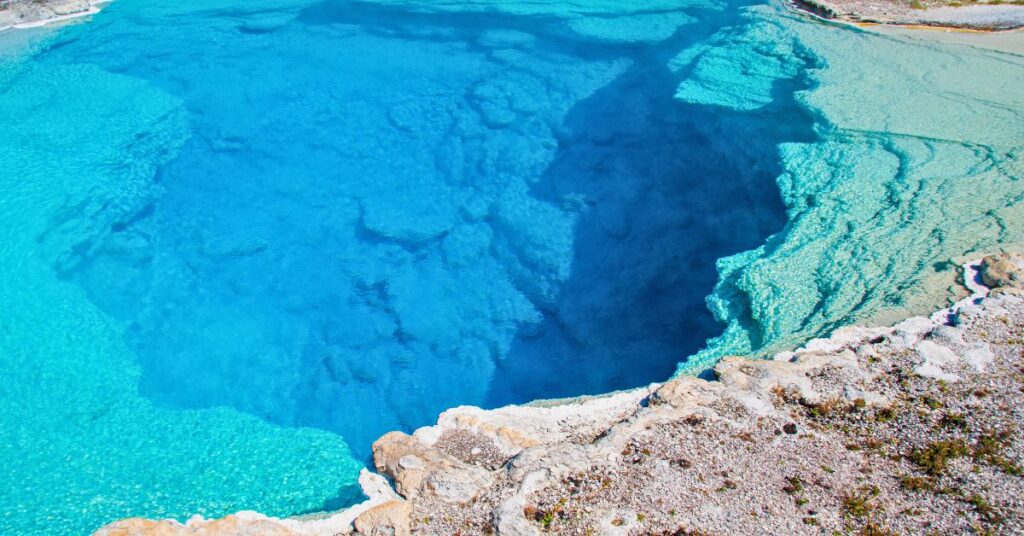 bassin naturelle