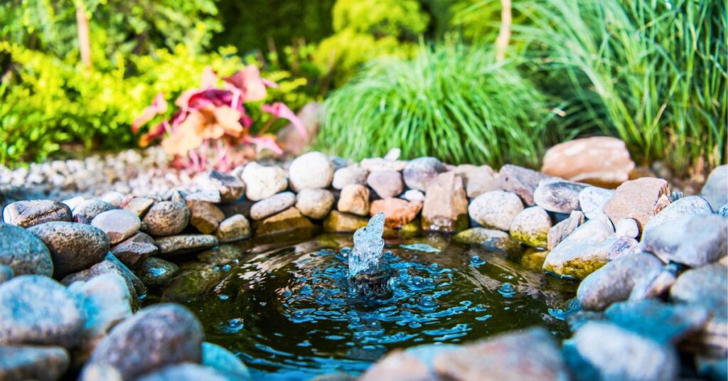 bassin naturelle dans son jardin