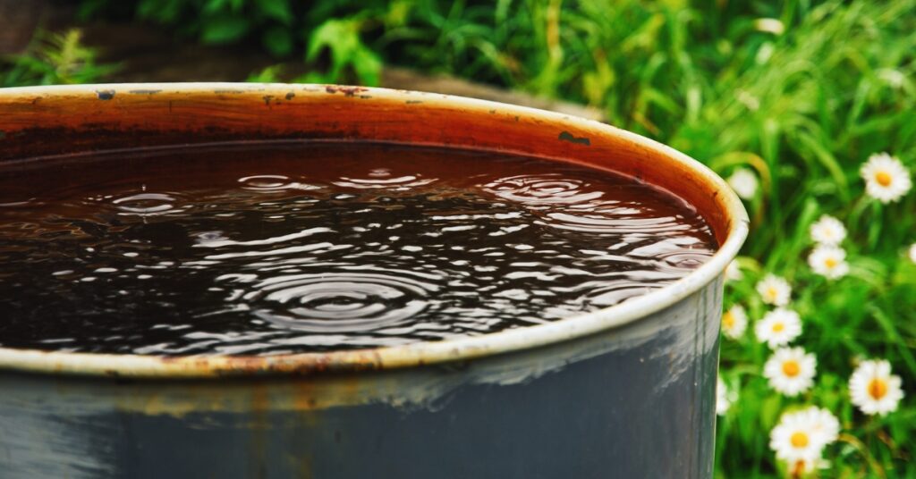 recuperer l eau de pluie