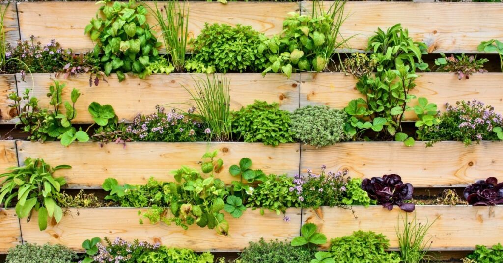 jardin vertical