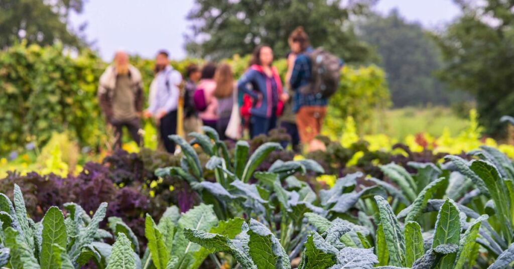 agriculture urbaine